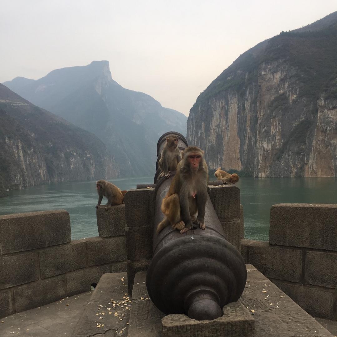 飞扬~o(〃'▽'〃)o