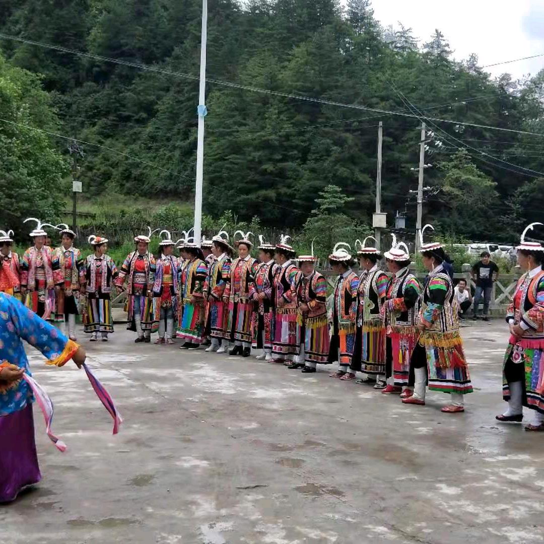 魅力白马