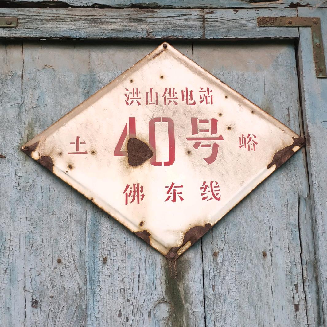 舔甜鼠