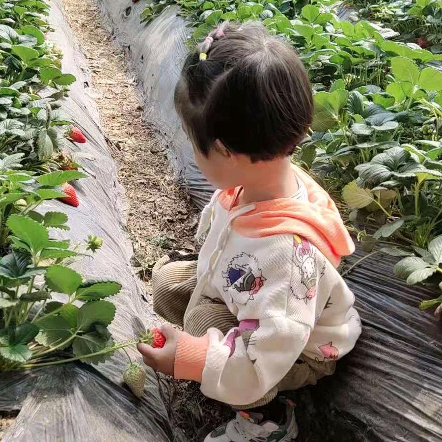时来💞꧔ꦿ᭄运转꧔ꦿ᭄