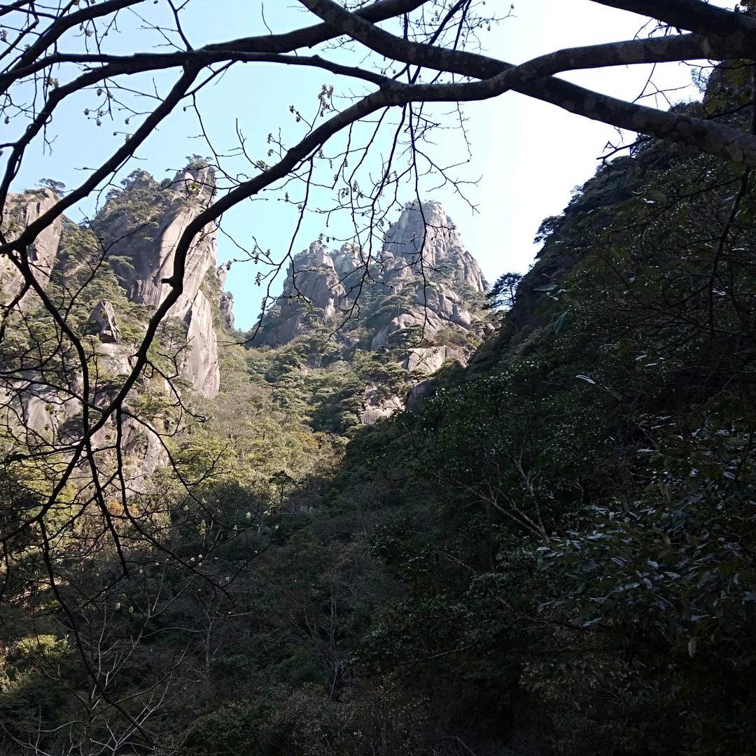 小琴