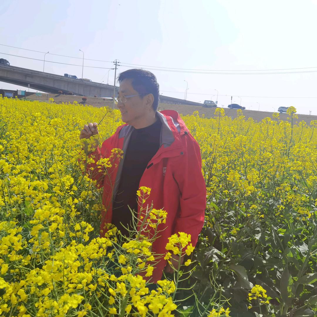 再回首都是感动