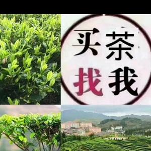 大爱无疆