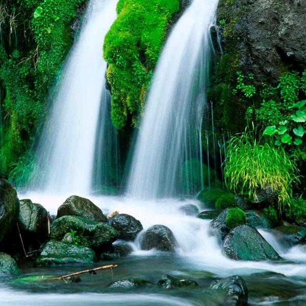 山东东营专业疑难防水施工