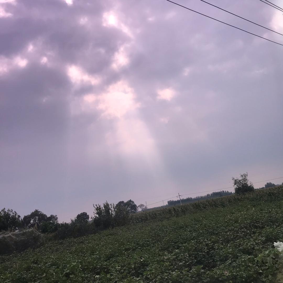 居家好物@(视频同款在橱窗)