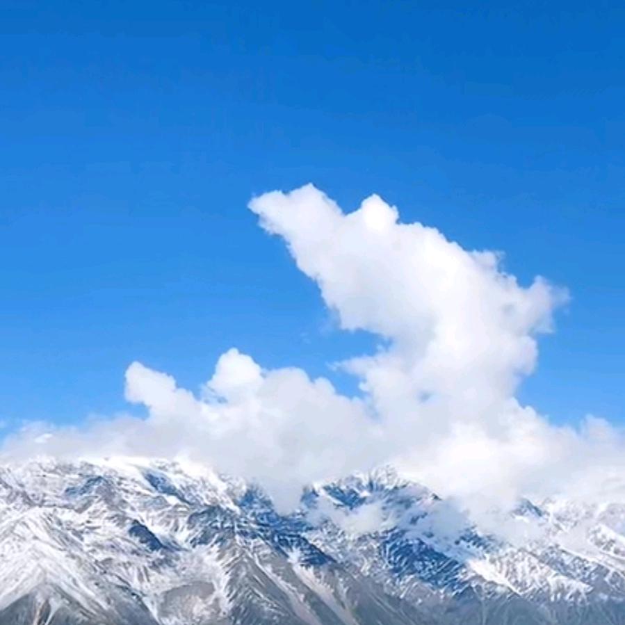 风中的云