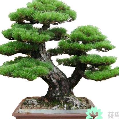 都好