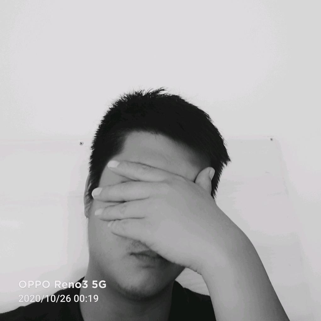 伊风之恋袁华