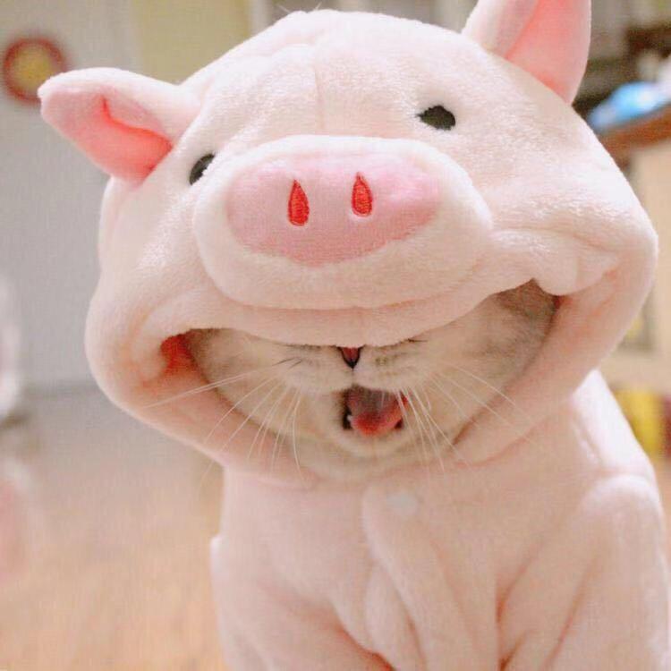优选好物