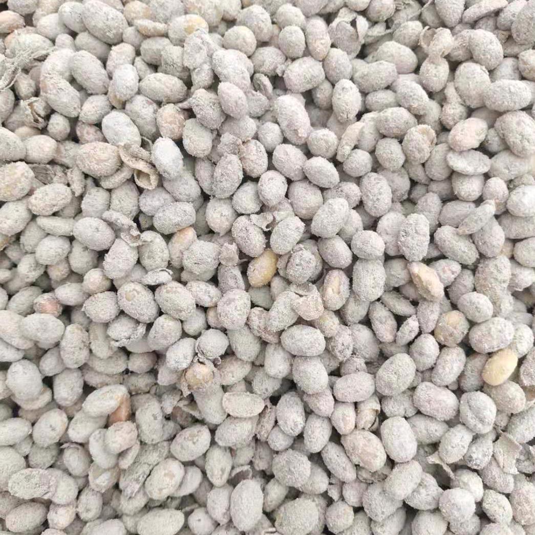 山东喜农肥业发酵大豆卞立勇源头厂家