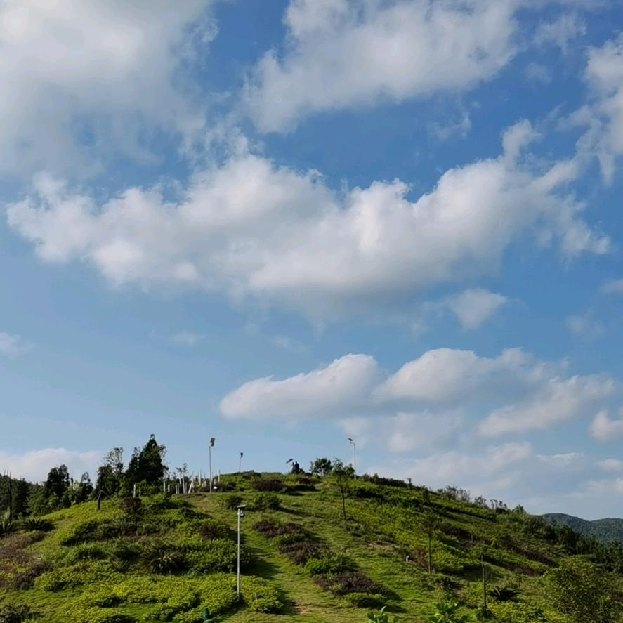 博白精通酒店大转盘店