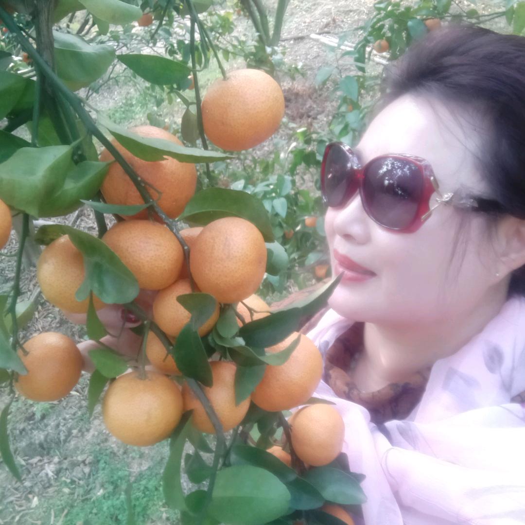 坤姐