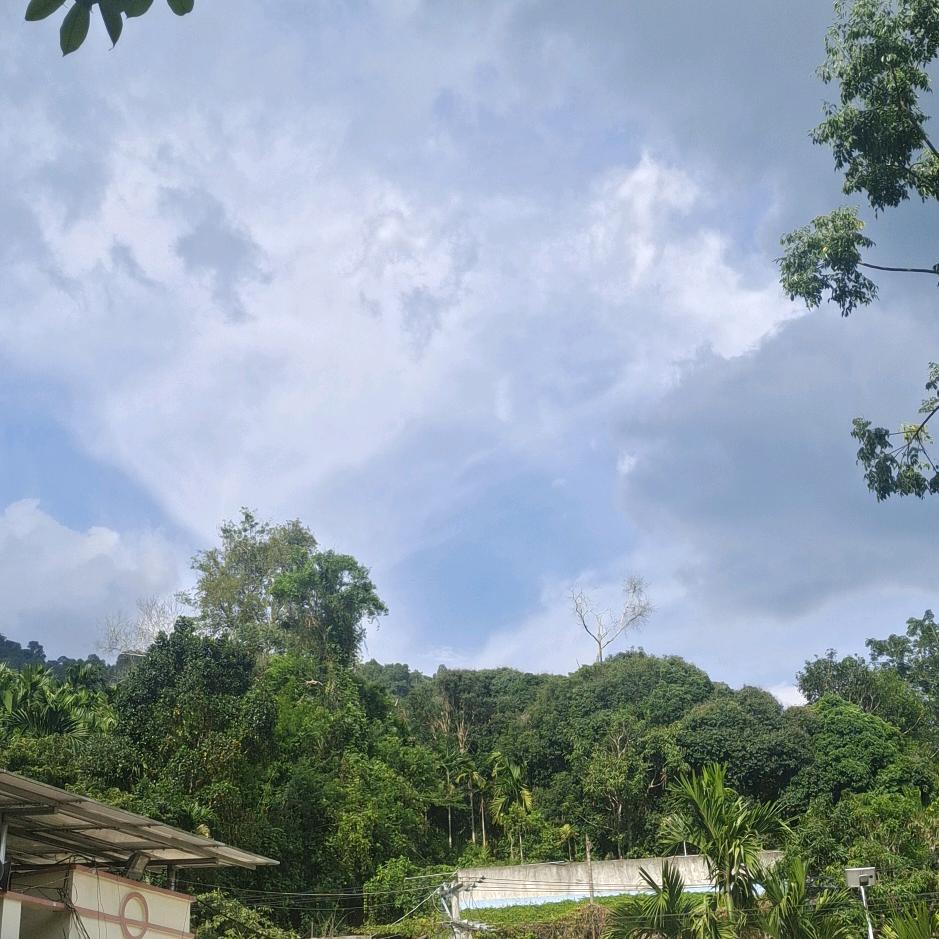 一路有苦也有甜