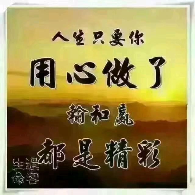 军哥方向盘