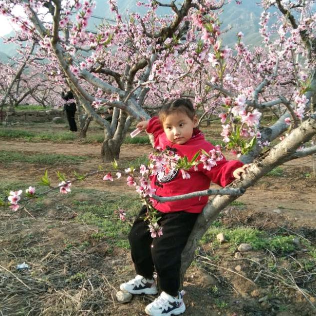 豫北驾校科二考场吴**