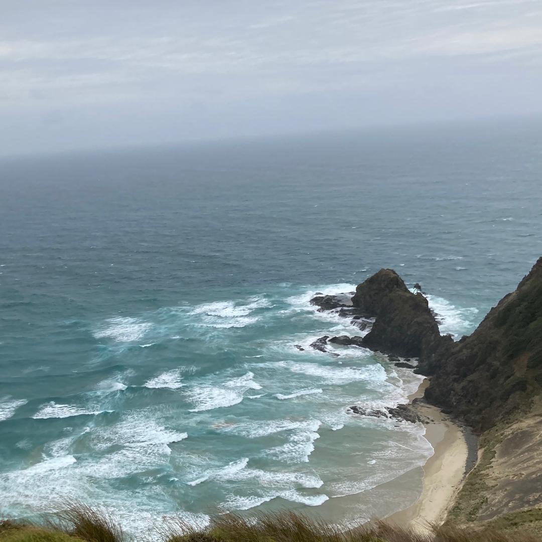 新西兰🇳🇿高中数学教师