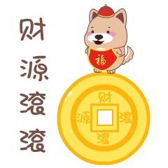 十堰志博二手车