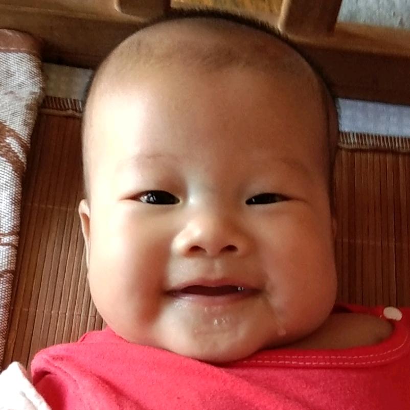 岚岚