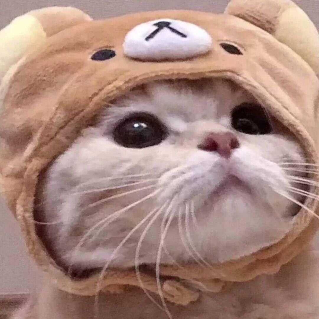 袖花