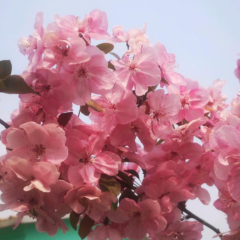 健康快乐