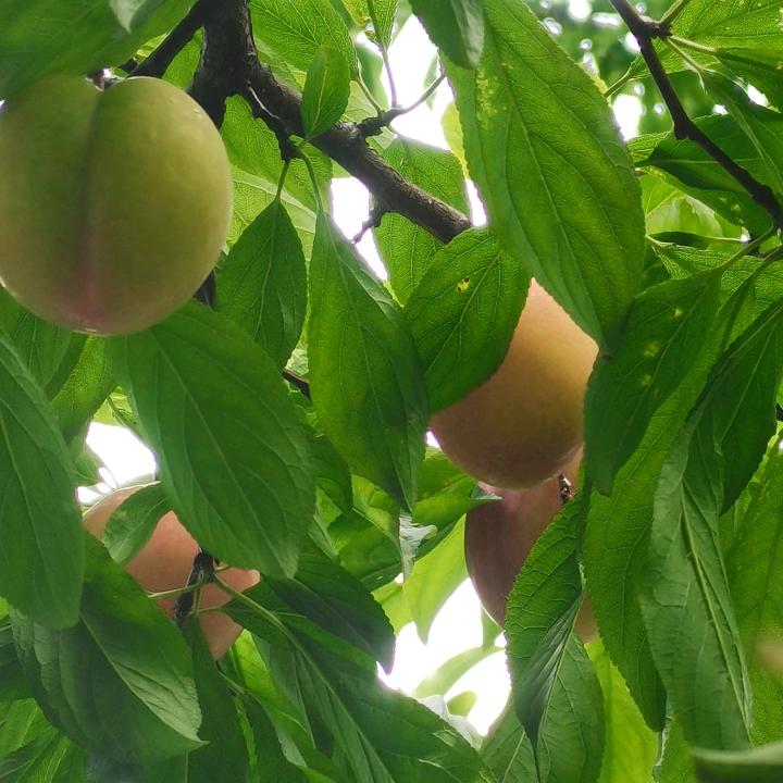 余生真爱