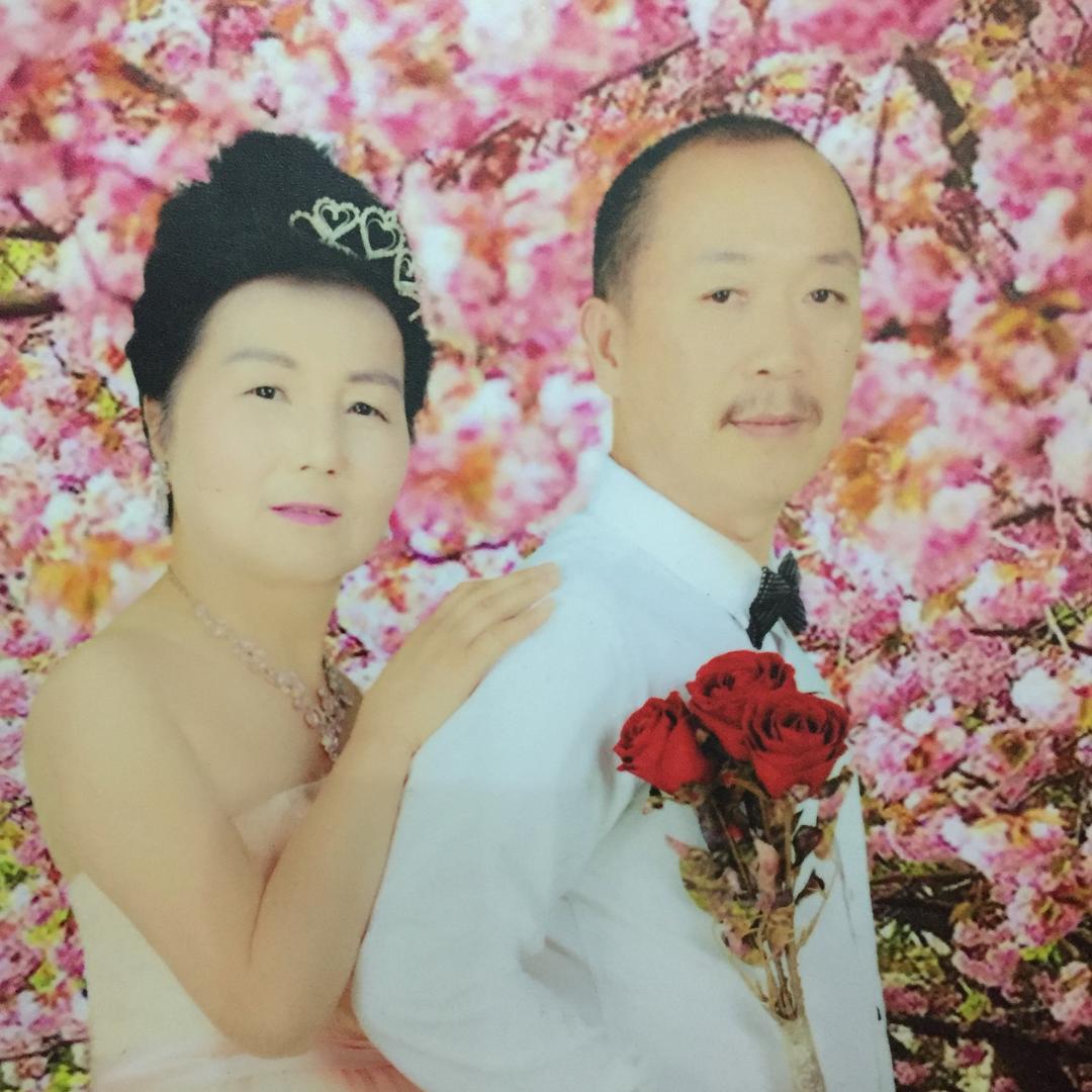 红梅花花