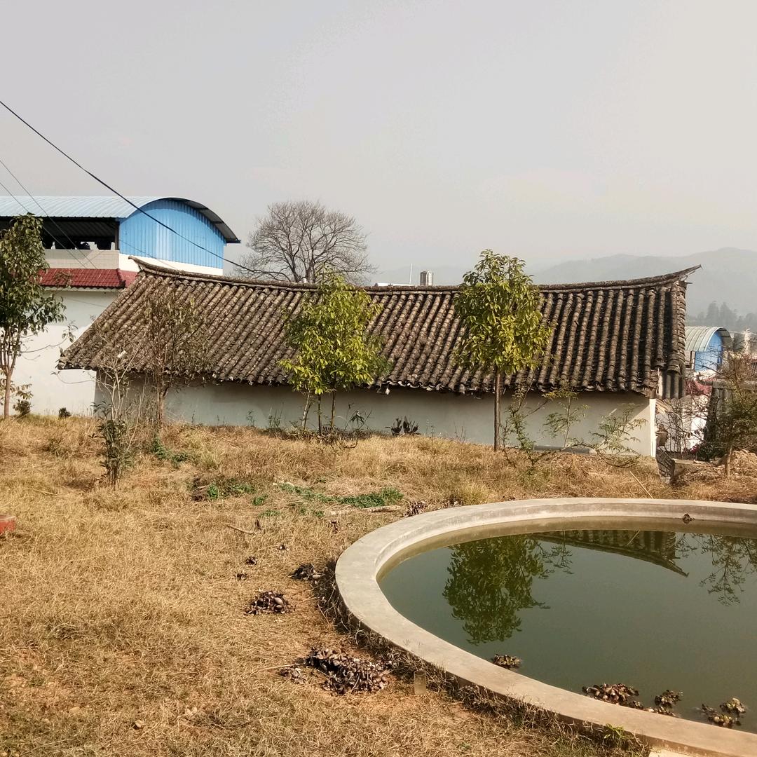s师