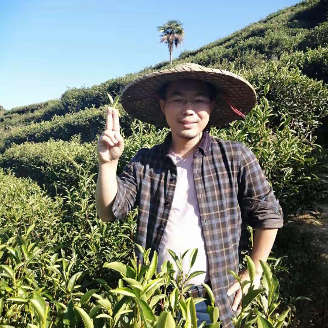 凤凰添祺茶业（单丛茶农）