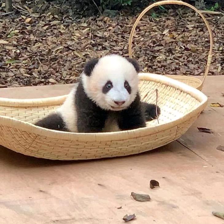 此生不换