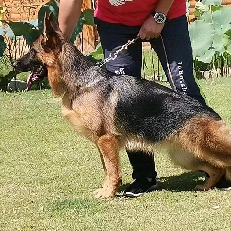 你们已经到了吗