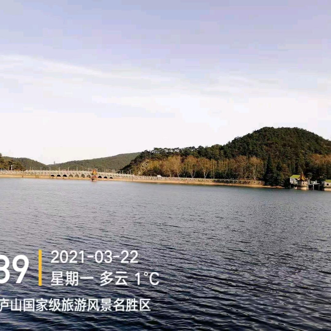 哈了少