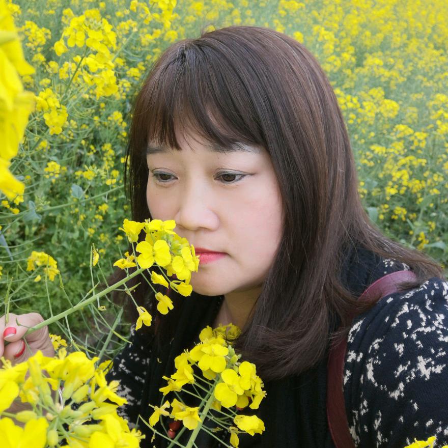 凤凰