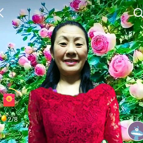 🌈醉千鹤~享人生