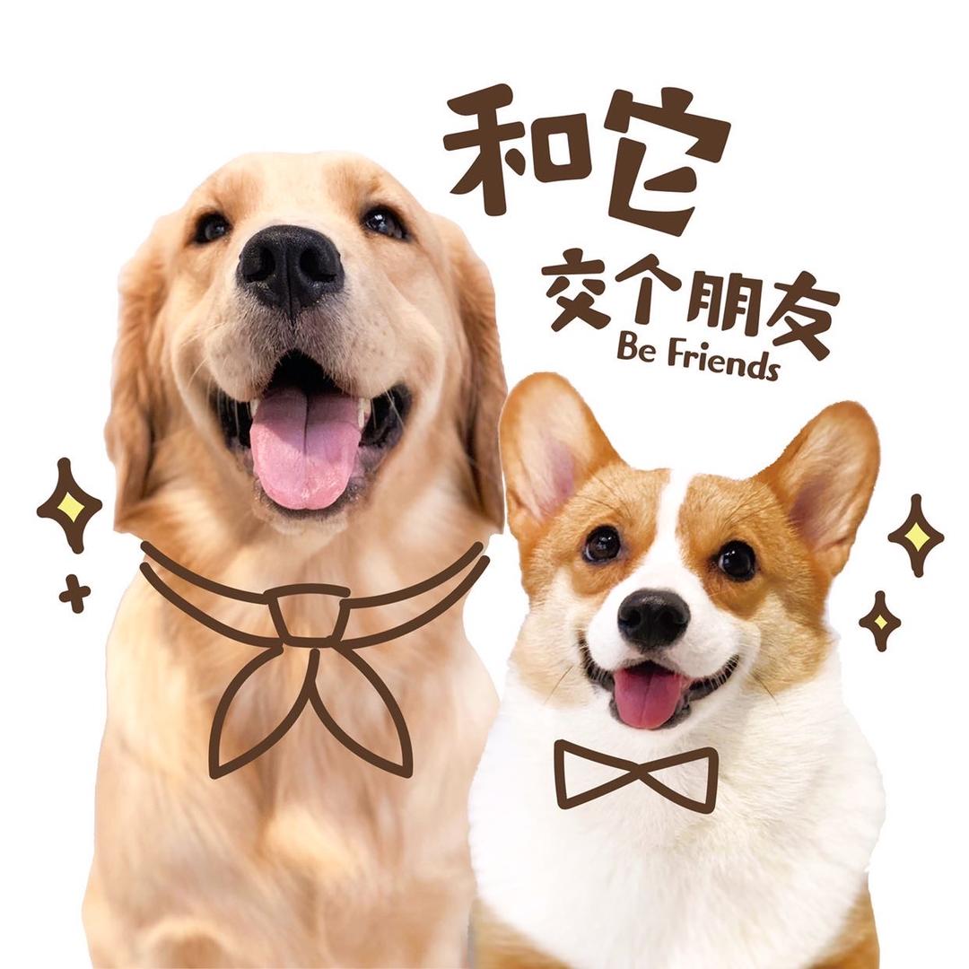 和它交个朋友