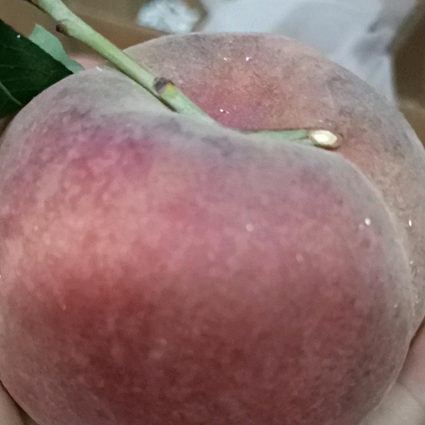 林芳