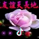 爱看小说的那个人是我头像
