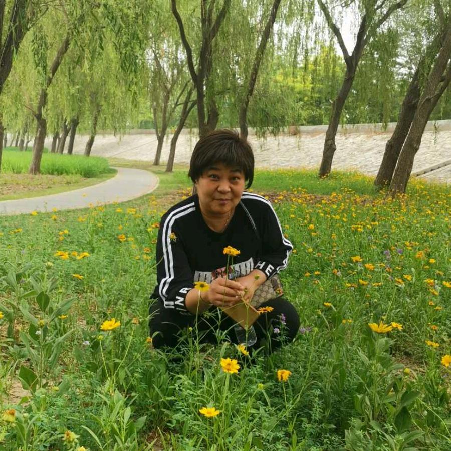 李红姐（学习中）