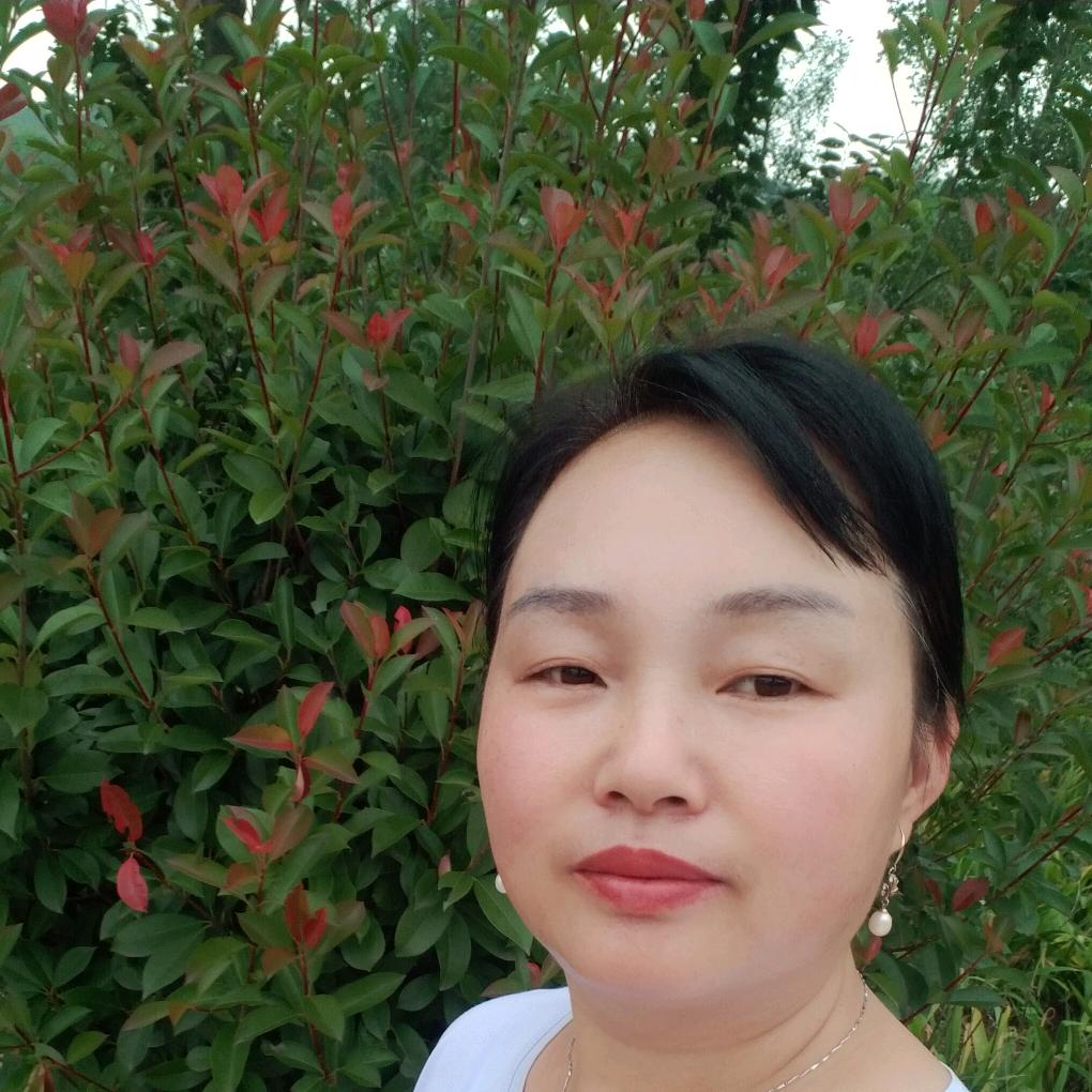 自由的飞翔