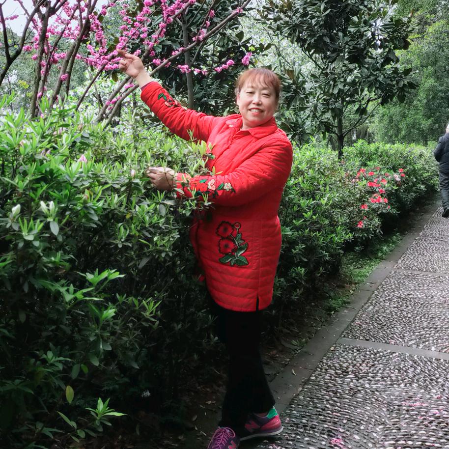 玲玲