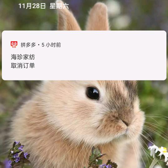 小鱼🐠🐠🐠🐠🐠🐠🐠