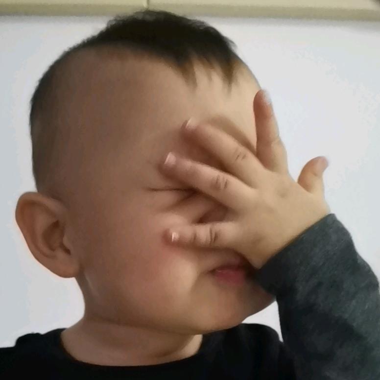 阿努比斯先生