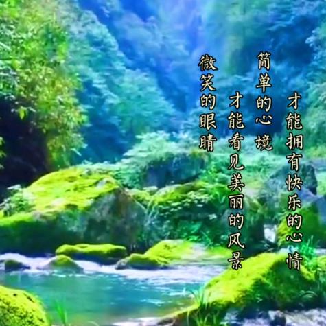 快乐一生🌸🌸🌸