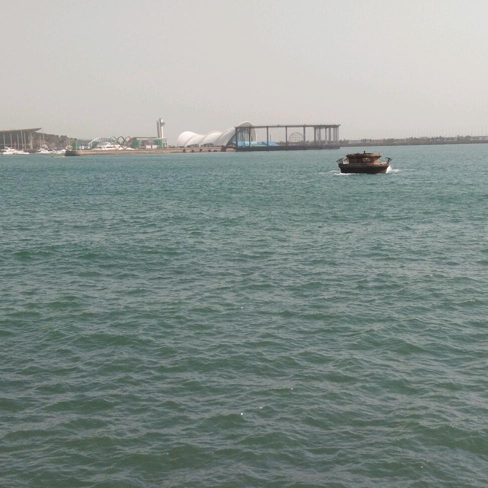 海葵