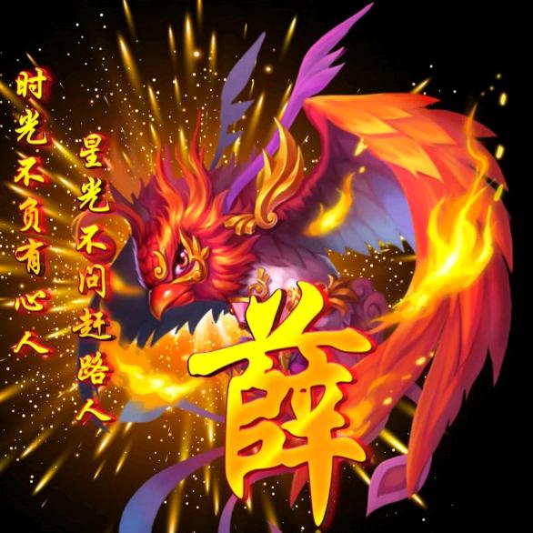 老鼠带刀pk猫🐱