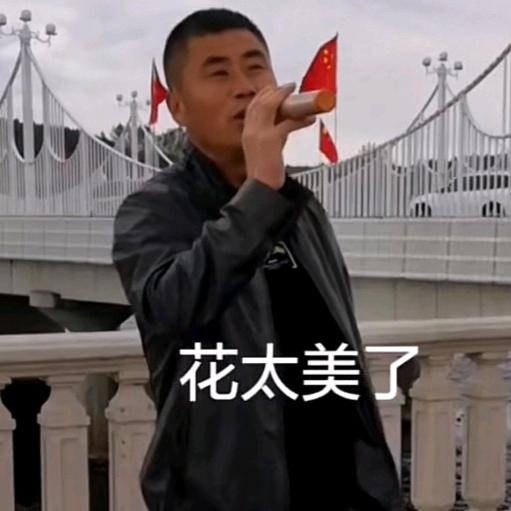 德利北红玛瑙