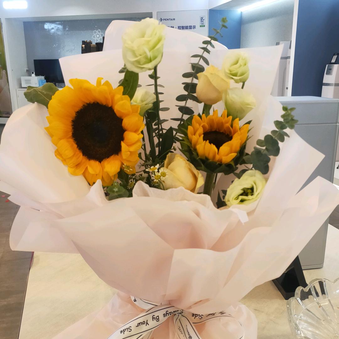 康诺舒适家  小苗