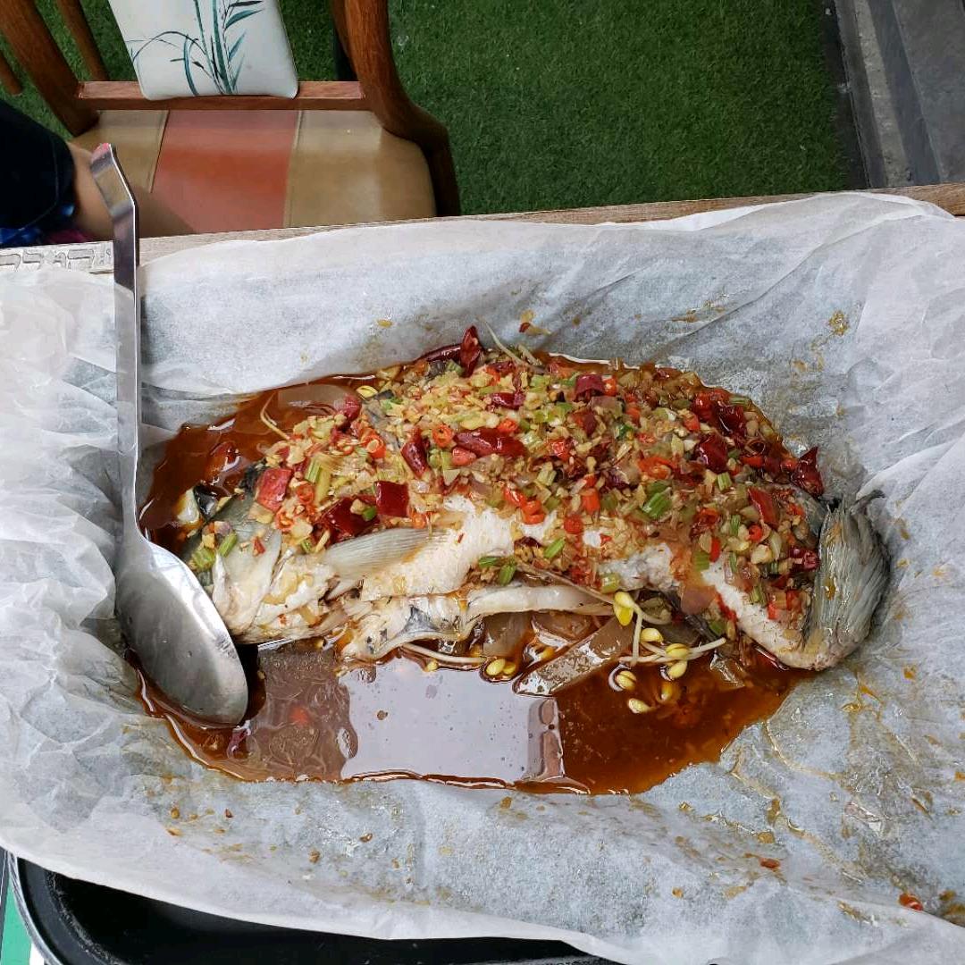 帝国的元首