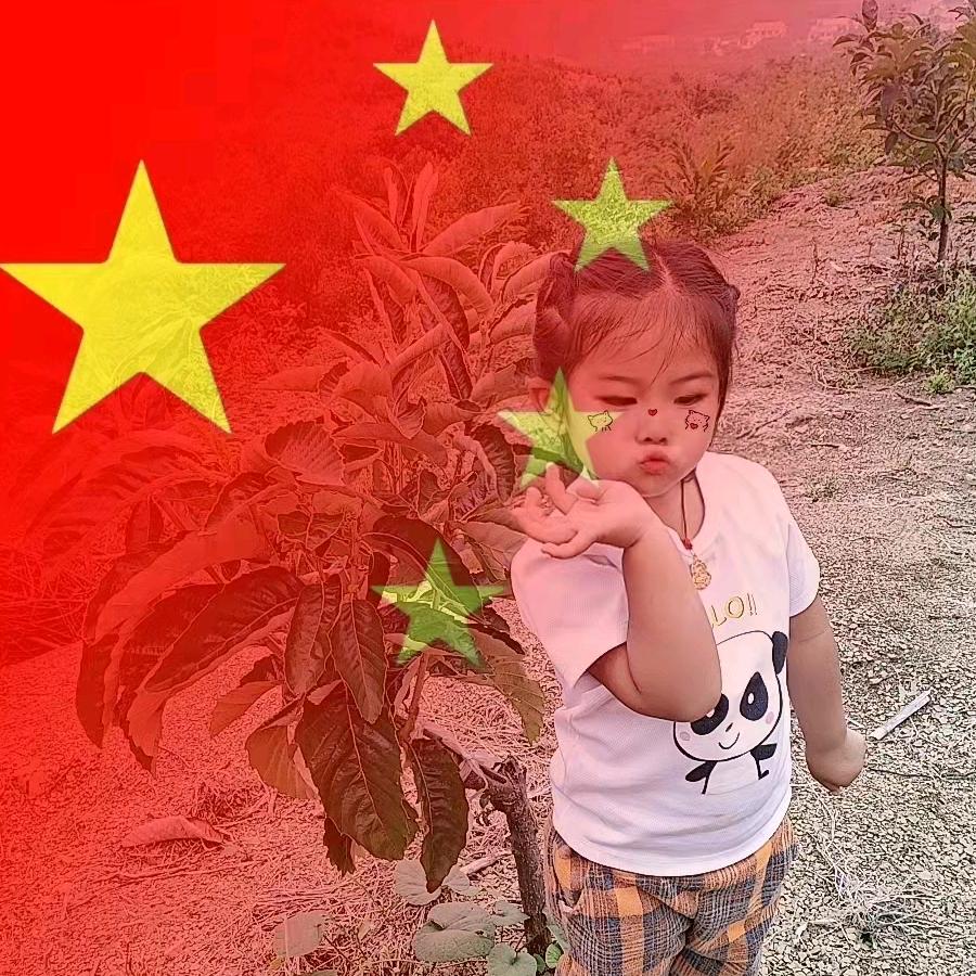 你把爱统统给了谁