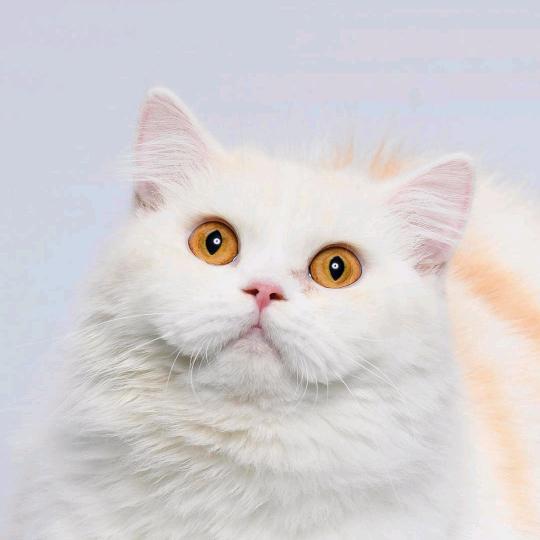 李进忠  166967926666