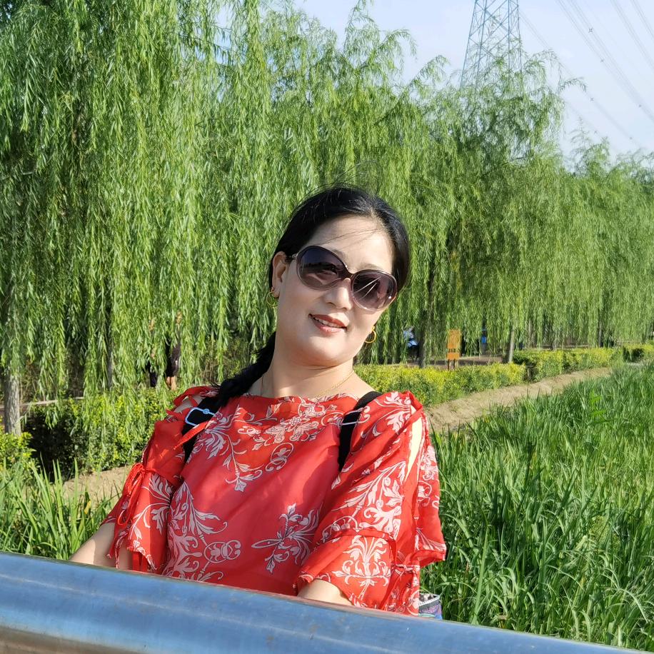 小白菜